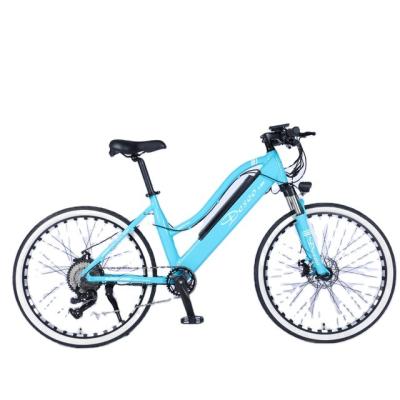 China Lithium Battery Outdoor High Speed ​​Waterproof Powerful Mountain Electric Bicycle 36V for sale