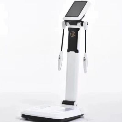 China Best Quality Arabic Body Composition Analyzer Musical Instruments TZ-P101 Arabic Body Analyzer Eco-friendly for sale