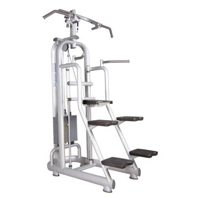 China 200KGS /Dip Assisted Chin Up Bodybuilding Pulse Fitness Gym Machines for sale