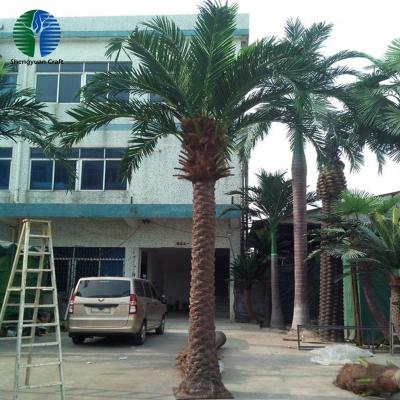 China Newest Designed Product Imitation Tree Artificial Palm Tree For Decoration for sale