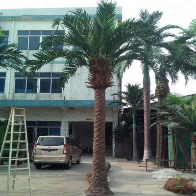 China Simulation guang Zhou plant artificial date palm tree large for indoor and outdoor decoration for sale