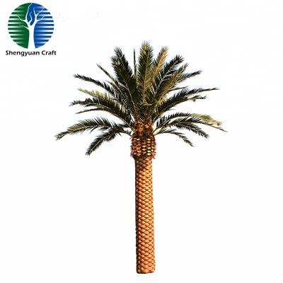 China China waterproof plant giant artificial date palm tree for outdoor decoration for sale