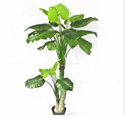 China Home Supplier China Large Artificial Taro Tree Potted for sale