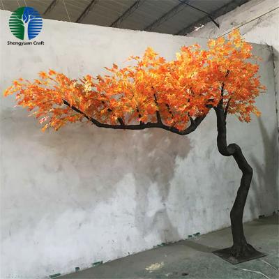 China Decoration bent thin maple tree for the corner for sale