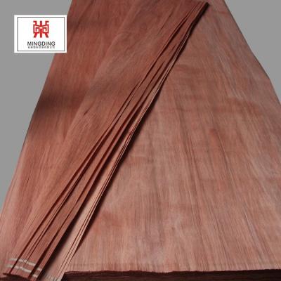 China The gum of category B of plywood for the slim African veneer of PA of Blackwood saw for sale