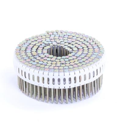 China Plastic Ring Flat Shank Coil Nails China Manufacture for sale