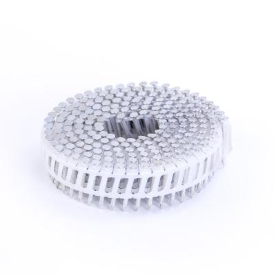 China High quality plastic flat sheet coil nails made in factory in CHINA for sale