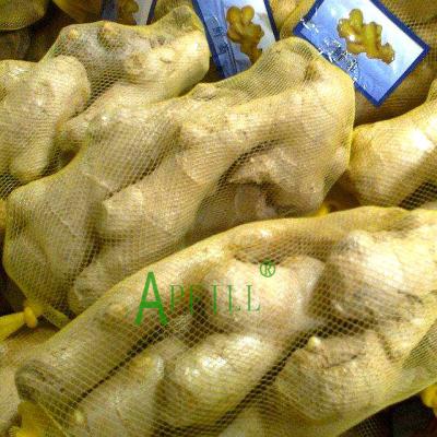 China 2022 fresh the best export agricultural products is fresh ginger production from yunnan province in china yellow fresh ginger for sale