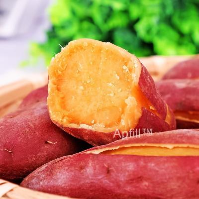 China 2022 Fresh Sell Yunnan Well Manufacturer Specialized Yunnan Best Soil Nutrition Abundant Food Sweet Potato Best Quality for sale