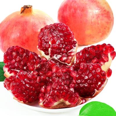 China 2022 Fresh Fresh Pomegranate Orchard Country Professional Planting Technology Picked Fresh Provided Fresh Most Competitive Price for sale