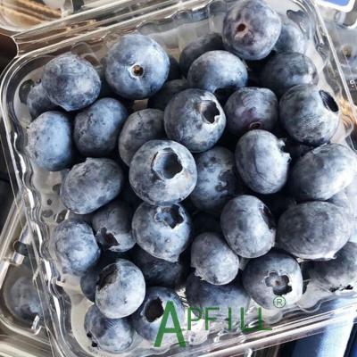 China 2022 Yunnan fresh fresh blueberry rich in a variety of delicious fresh and healthy and safe nutrients have most competitive price for sale