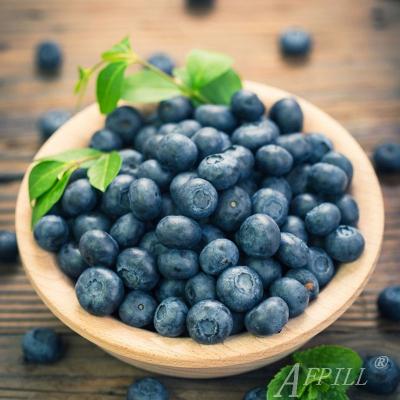 China Professional 2022 Yunnan manufacturer blueberry healthy and safe wholesale fresh delicious plantations got SGS GAP for stor for sale