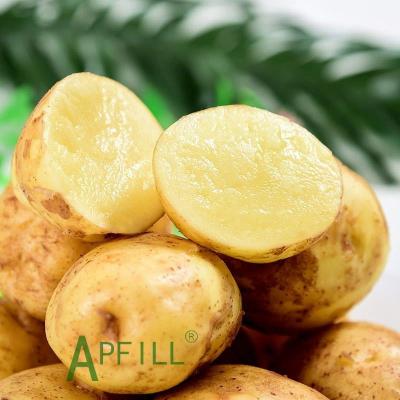 China The 2022 large fresh crop potatoes large area selling in many countries quality assurance this is trustworthy for sale