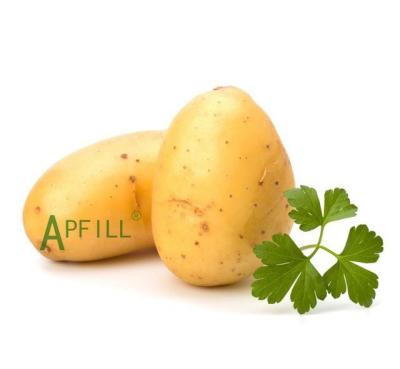 China 2022 Yunnan popular and green healthy wholesale sales pure natural farm fresh potato supply the best quality manufacturer for sale