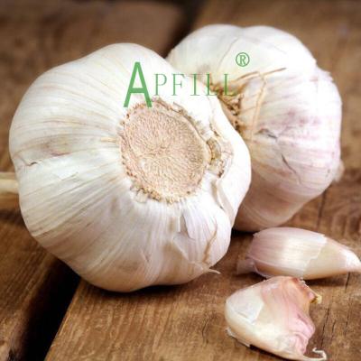 China 2022 new arrivals Yunnan thin spicy fresh garlic skin supply of multi-petalled fresh purple red fresh garlic skin and juicy garlic for sale