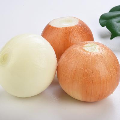 China Manufacturer Fresh Factory Wholesale 2022 Best Quality Fresh Onion For Food Yellow Skin White Flesh Application To Snack Fried Food for sale