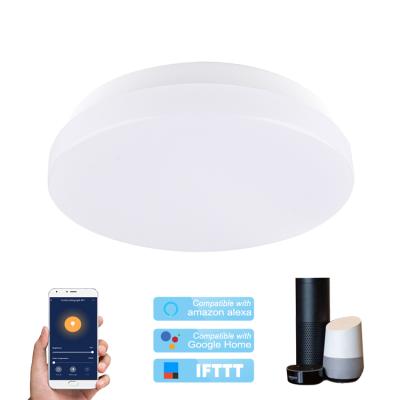 China Smart RGBW Ceiling Mounted Adjustable Outdoor Mounted Lamp Wifi App Control TDC Led Ceiling Light for sale