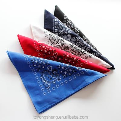 China Outdoor Activities Paisley Printed 100% Cotton Hip Hop Bandana for sale