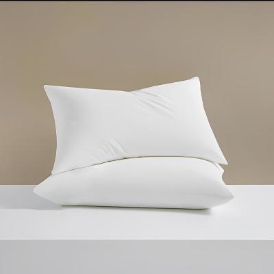 China Hotel Standard Sofa Couple Pillow From China Luxury Anti-Static Hotel Collection Bed Pillows for sale