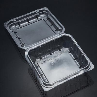 China Clear Plastic Fruit Blister Packing Cards Pouch Clamshell Box Tray For Food Fishing Vegetable Plants for sale