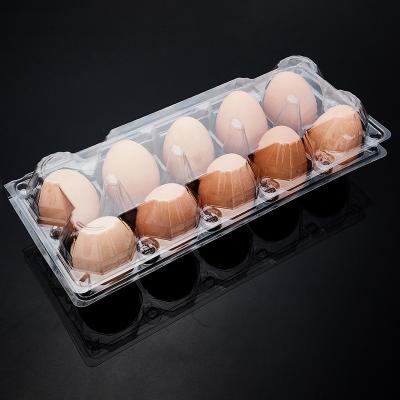 China Wholesale Disposable Fruit Pet Clear Plastic Egg Tray With 10 Cells for sale