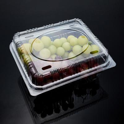 China 2020 Large Fruit Lunch Fruit Salad Blister Plastic Clear Packaging Box for sale