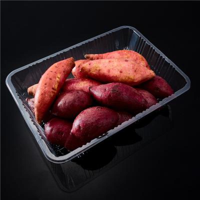 China High quality wholesale fruit top success rate product disposable vegetable plastic dish for sale for sale