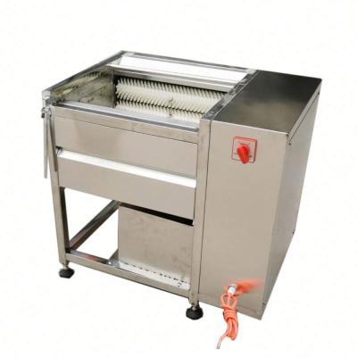 China Hotel factory directly sell carrot peeling washing machine carrot peeling and washing machine for sale