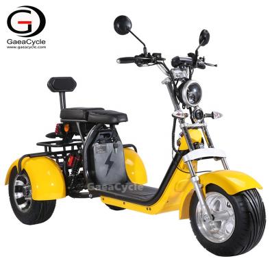 China 2020 Hot Selling Adult Electric Motorcycles Gaea EEC/COC 3 Wheel Electric Scooter China Electric Motorcycle 18*9.5 Inch for sale