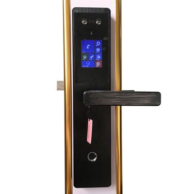 China App Safe Face Recognition Lock Security Fingerprint Smart Door Lock with 1mp Color Infrared Camera FE205 for sale