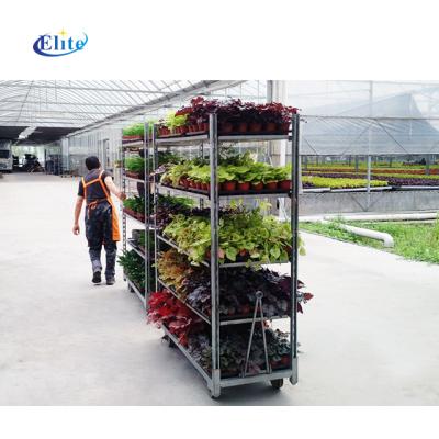 China Beams Metal Four Wheels Greenhouse Garden Farm Flower Plant Plant Cart Optional Dutch 1350*565*1900mm for sale