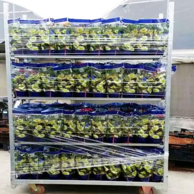 China Cultivate Metal Wire Seedling Raised Nursery Plant And Grow Seedling Flower Cart Cart for sale