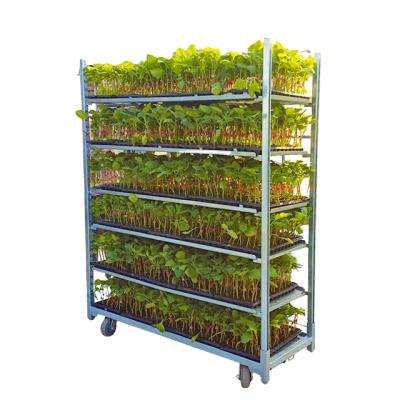 China Seeding 122 seedling cart, seedling carts, seedling stand for sale