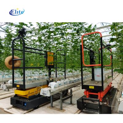 China Greenhouse Greenhouse Pipe Rail Tomato Picking Hydraulic Scissor Lift Cart for sale