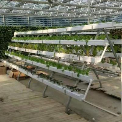 China Healthy PVC Growing System NFT Vertical Farm Hydroponic Garden Vertical Growing System for sale