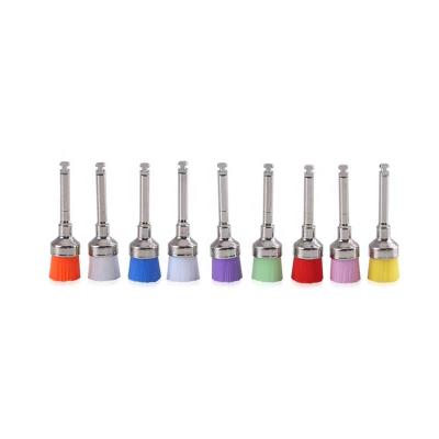 China High quality conical dental prophy brush dental clinic various color for sale