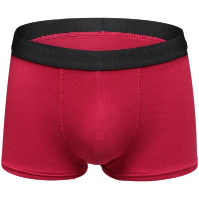 China Large size men's pure solid antibacterial comfortable breathable cotton casual single color men's angle flat underwear for sale