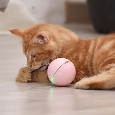 China Viable Pet Cat Products Educational Toys Ball for Smart Toy Animal Accessories for sale