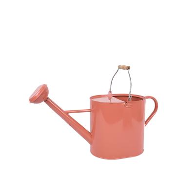 China Ornamental Windmill Metal Watering Can Solid Stainless Steel Gardening Watering Pot with Long Spout for Indoor Outdoor Bonsai Plants for sale