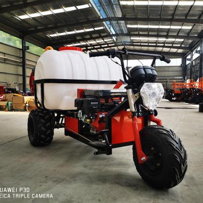 China Easy to operate riding orchard sprayer three-wheel model sprayer farming  garden  agriculture machinery for sale