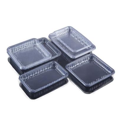 China Supermarket PP Tray Beef Fresh Meat Frozen Disposable Chicken Blister Plastic Food Packaging Tray for sale