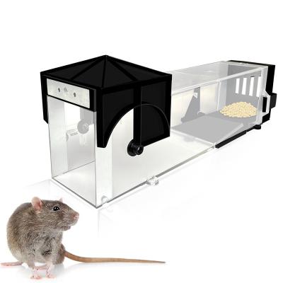 China Easy to Bait Rodent Rat Killer Reusable Snap Quick And Effective Mouse Trap Catcher Humane Mice Mouse Plastic Trap For Mouse for sale