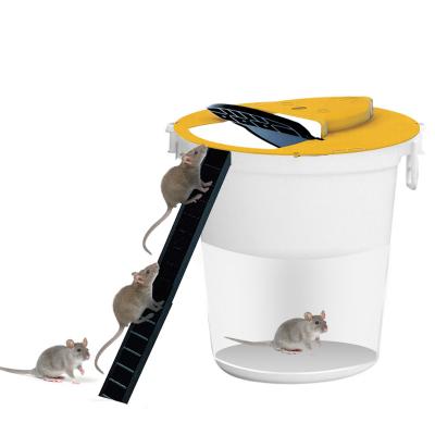 China CLEAN PCO Mouse Rat Mice Bucket Human Trap Plastic Trap Mouse Flip Slide Mouse Trap Easy Set for sale