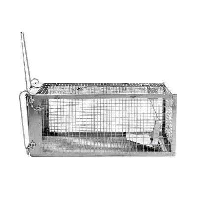 China mouse cage Squirrel bait station rat cage mice rodent animal control catch bait hamster mouse trap humane for sale