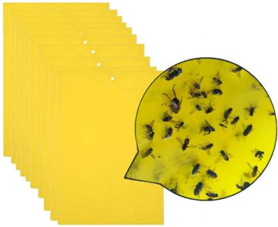 China Double side Garden Strong Flies Sticky Insect Glue Traps Glue Stickers zu verkaufen