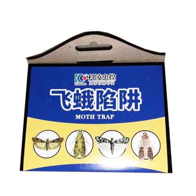 China Pantry Moth TrapsSafe And Effective For Food And Cupboard Glue Traps With Pheromones For Pantry Moths zu verkaufen