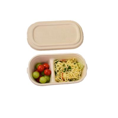 China Biodegradable Fast Food Packaging Container Disposable Bento Food Lunch Box 900ml Sugarcane Lunch Box Supply Disposable Salad for sale