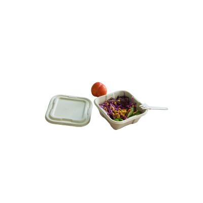 China Biodegradable Disposable Box 500ml Food Container Sugarcane Bagasse Free Disposable Biodegradable Takeaway Dish with Lid for sale