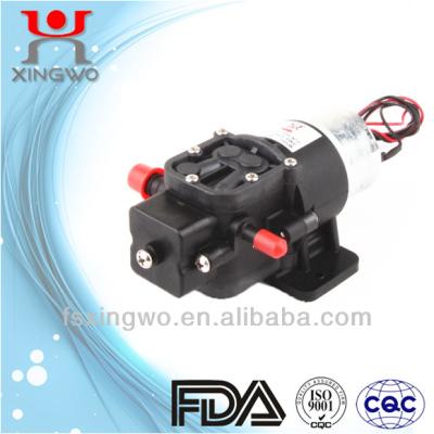 China High Efficiency 12v Water Pump Dispenser Drink Pump (DP005A2) for sale