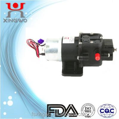 China High Efficiency Water Pump 12 Volt Dispenser Drink Pump DP005A2 for sale